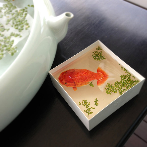 3D-Fish-Paintings (18)