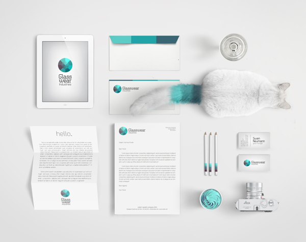 Branding & Identity Design-LycodonFx (6)