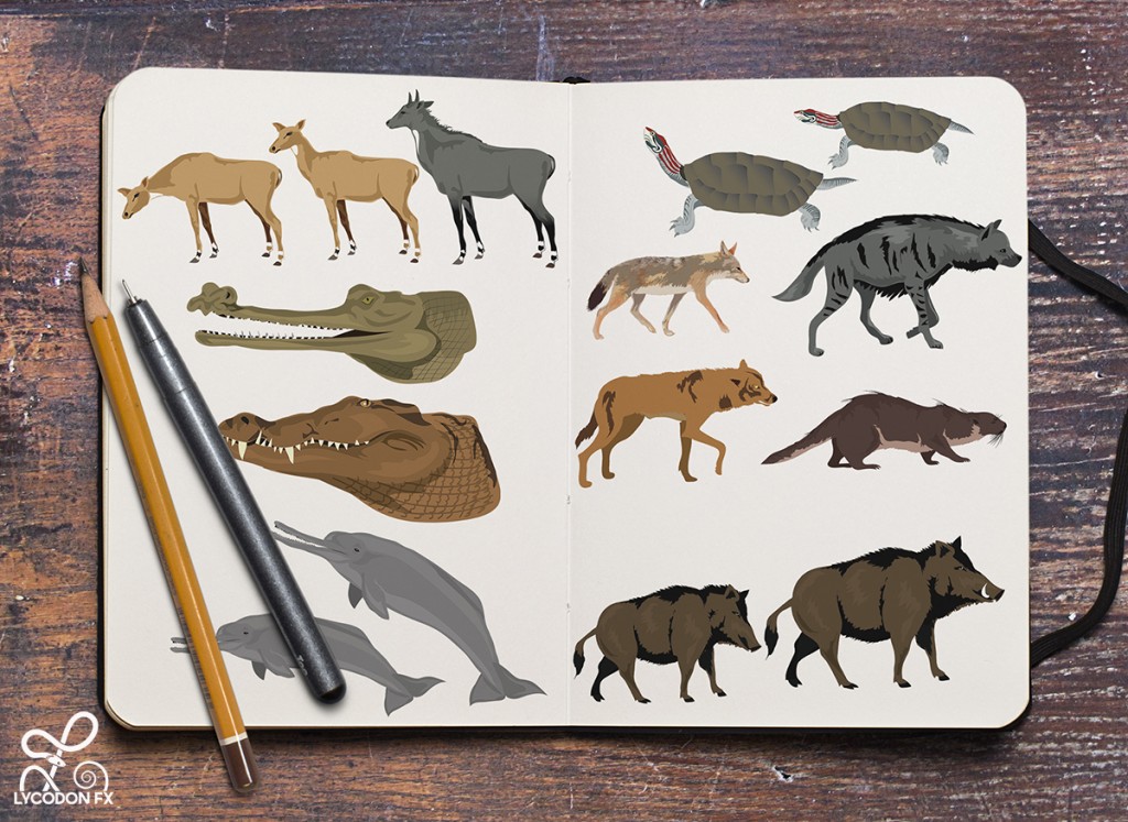 rare wildlife illustrations animals lycodonfx