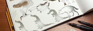 wildlife Illustrations