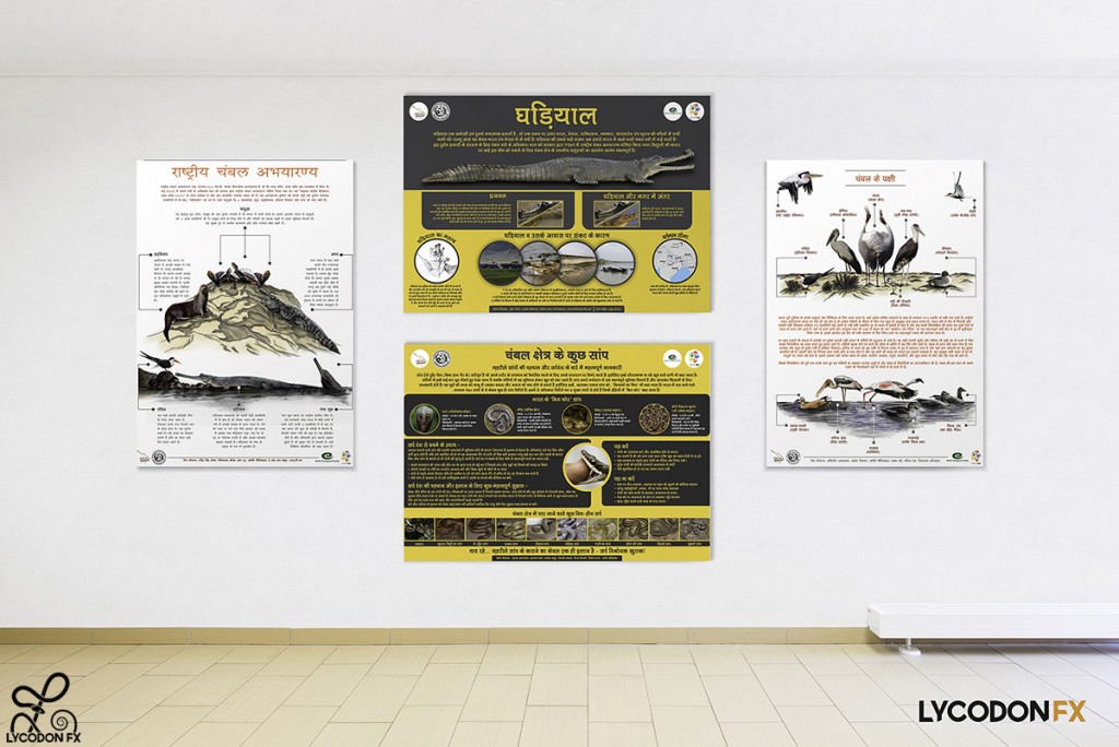 animal wildlife conservation poster environment eductaion design agency nature art (3)