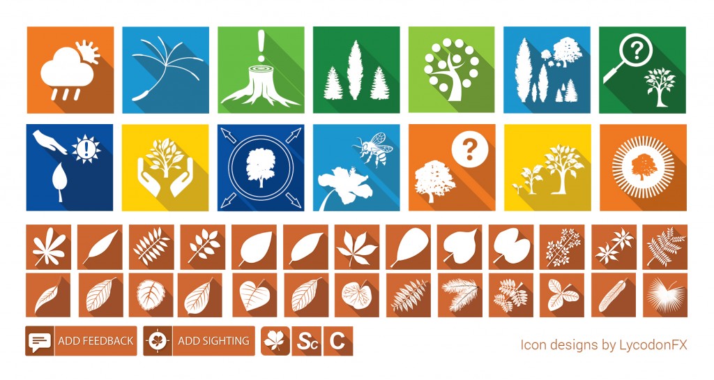 icon designing mumbai, india