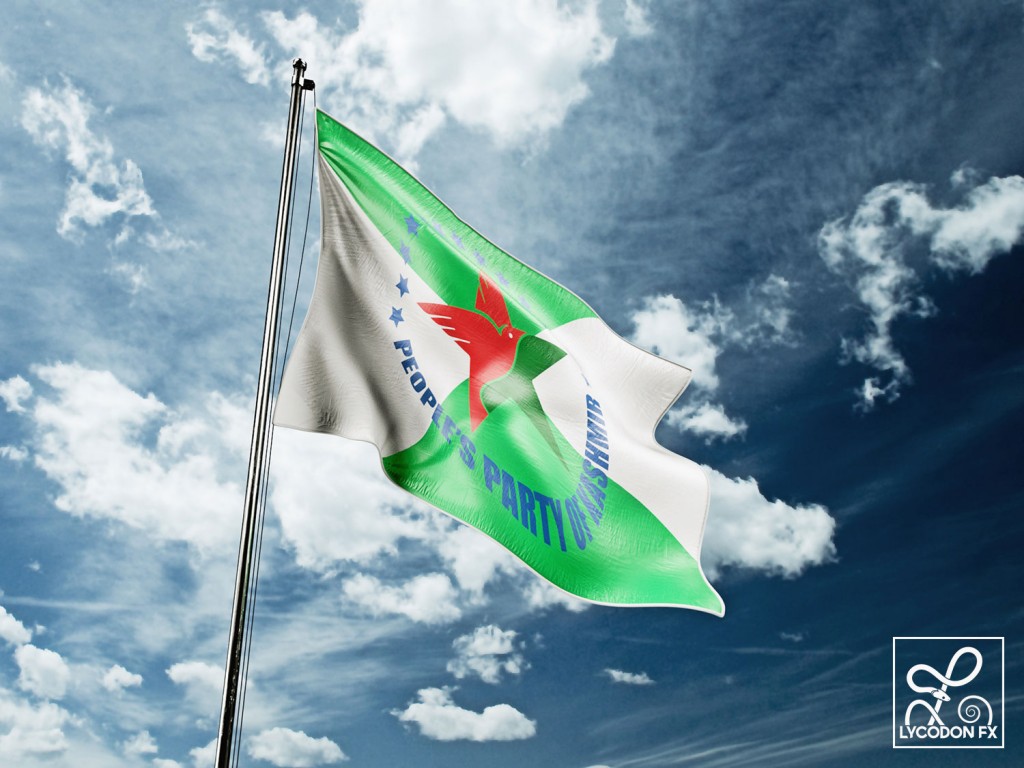 political party flag design